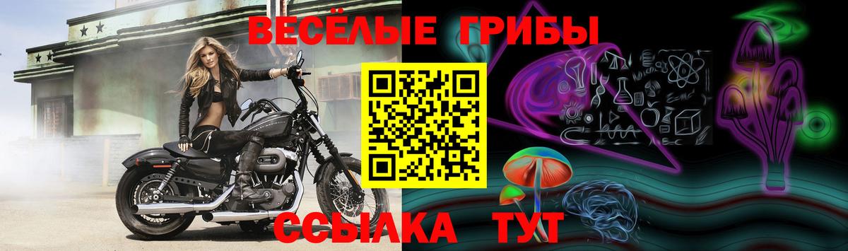 Нижний Новгород  Галлюциногенные грибы мицелий  Вход с VPN  Псилоцибиновые грибы Psilocybe 